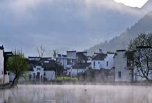 山东特色茶叶盘点(山东的特色茶叶)